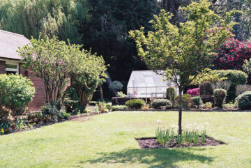 Een tuin met een natuurlijke grasmat
